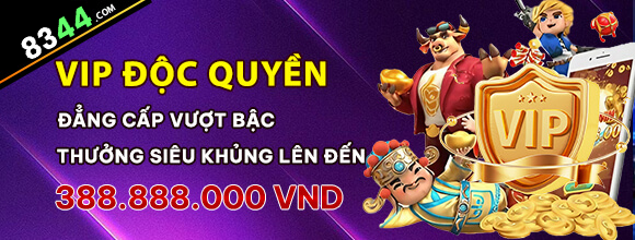 Hình ảnh quảng cáo của md88 hiển thị nền tảng và các lợi ích