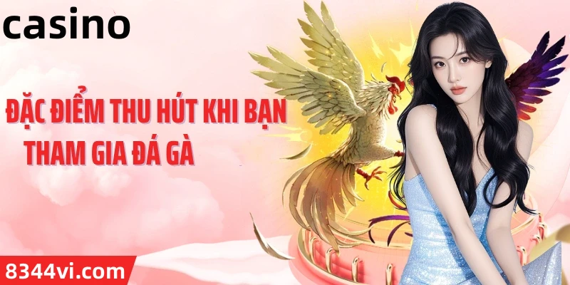 Hình ảnh quảng cáo của md88 hiển thị nền tảng và các lợi ích