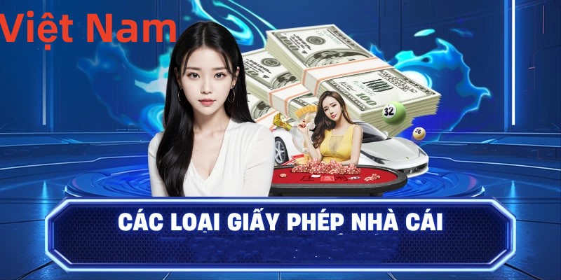 Hình ảnh quảng cáo của md88 hiển thị nền tảng và các lợi ích