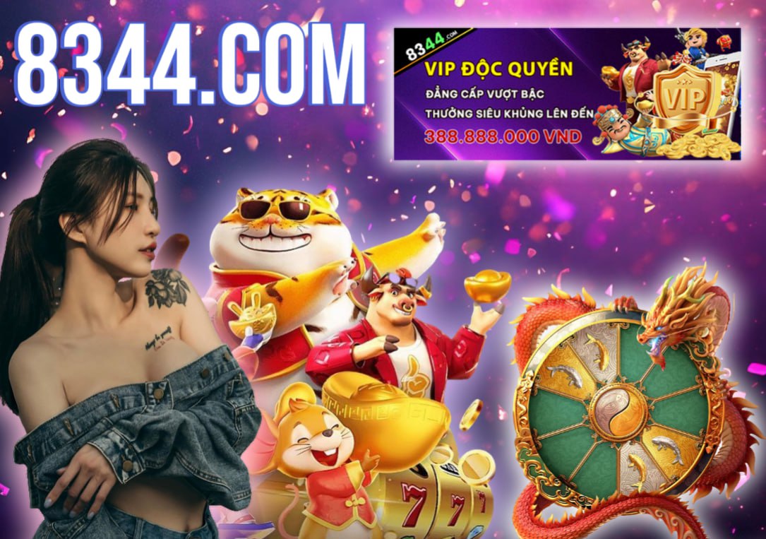 Hình ảnh quảng cáo của md88 hiển thị nền tảng và các lợi ích