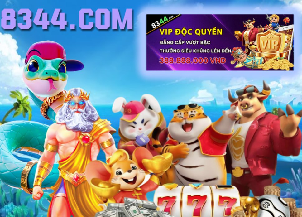 Hình ảnh quảng cáo của md88 hiển thị nền tảng và các lợi ích