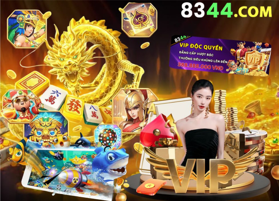 Hình ảnh quảng cáo của md88 hiển thị nền tảng và các lợi ích